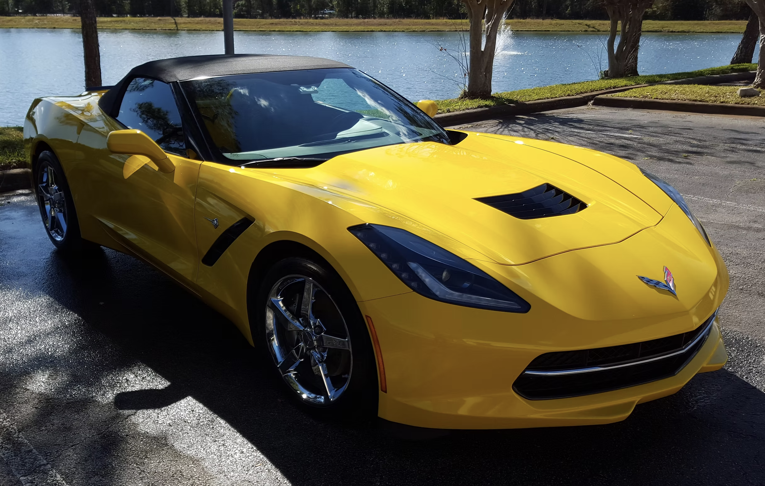 Assurance Luxury Detailing in Orlando, FL