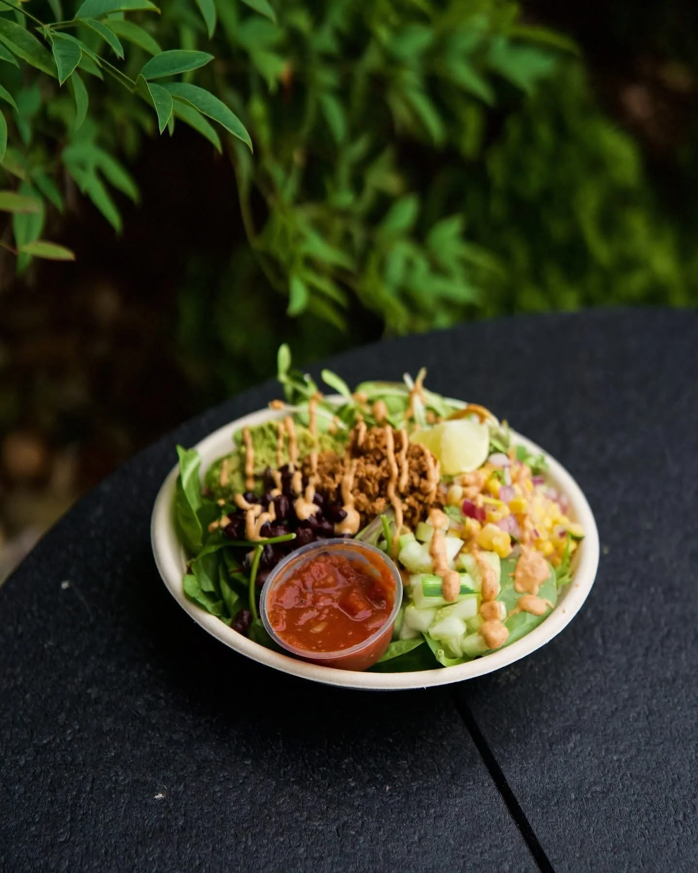 Millie's Living Cafe in Lynchburg, VA (2)