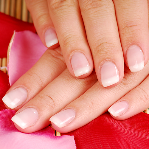 LyLy Nails & Spa | Greenfield in Greenfield, WI