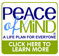 Stross Law Firm, P.A. in Oldsmar, FL (4)