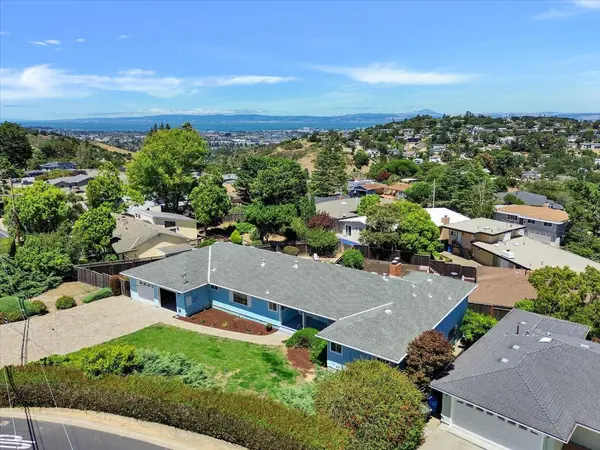 Hayley Dowsing-Connolly-Realtor in New Almaden, CA (3)