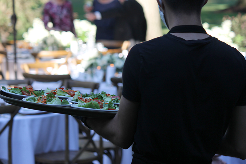 Tree City Catering in Toledo, OH