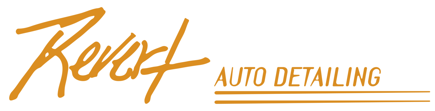 Revert Auto Detailing in Leander, TX (4)