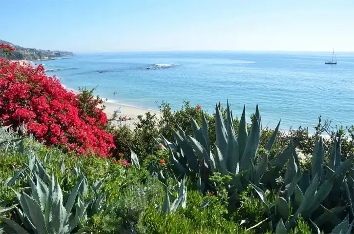 N.M Law, APC | Estate Planning Law Firm in Tustin, CA (4)