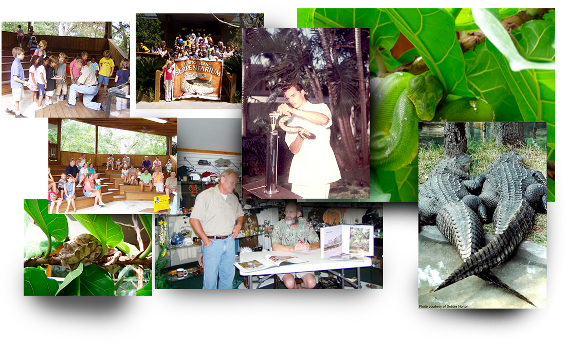 Edisto Island Serpentarium in Edisto Island, SC