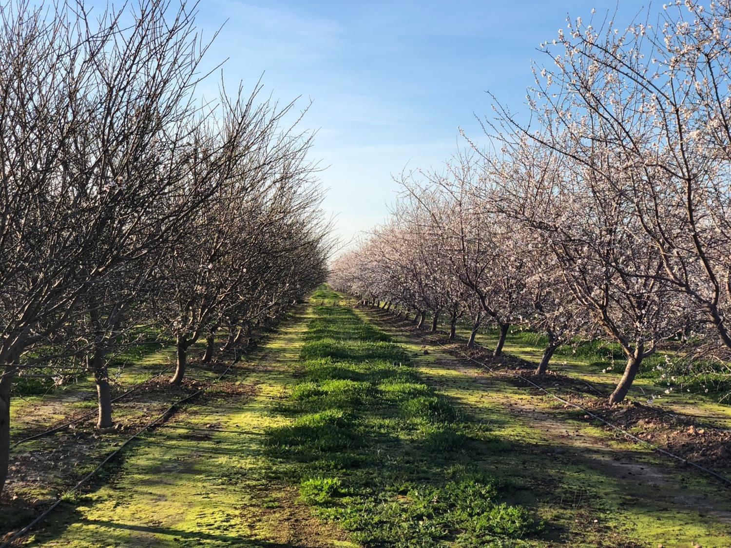 Joslin Real Estate in Waterford, CA (2)
