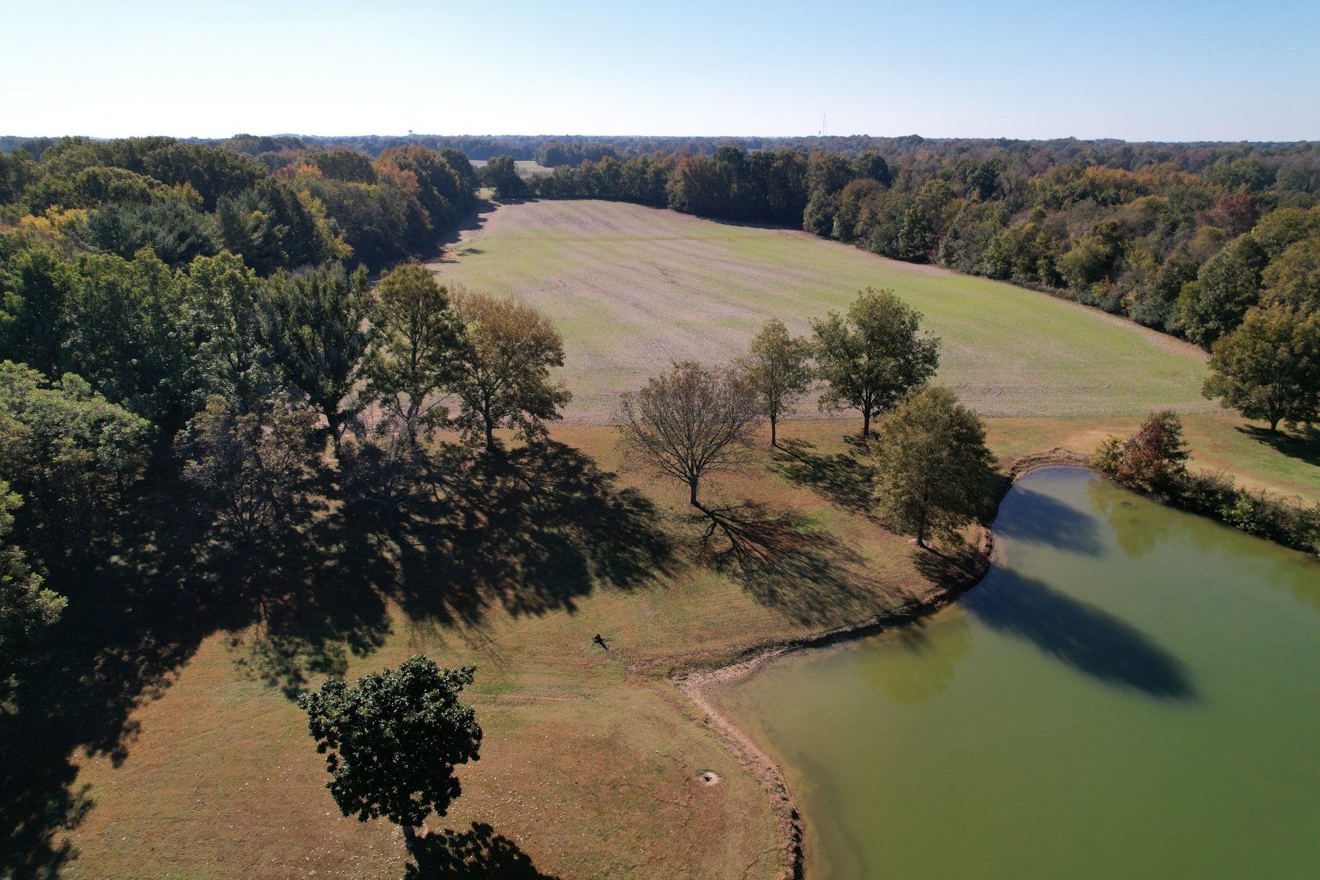 Real Estate Mart of Tn Inc in Millington, TN (5)