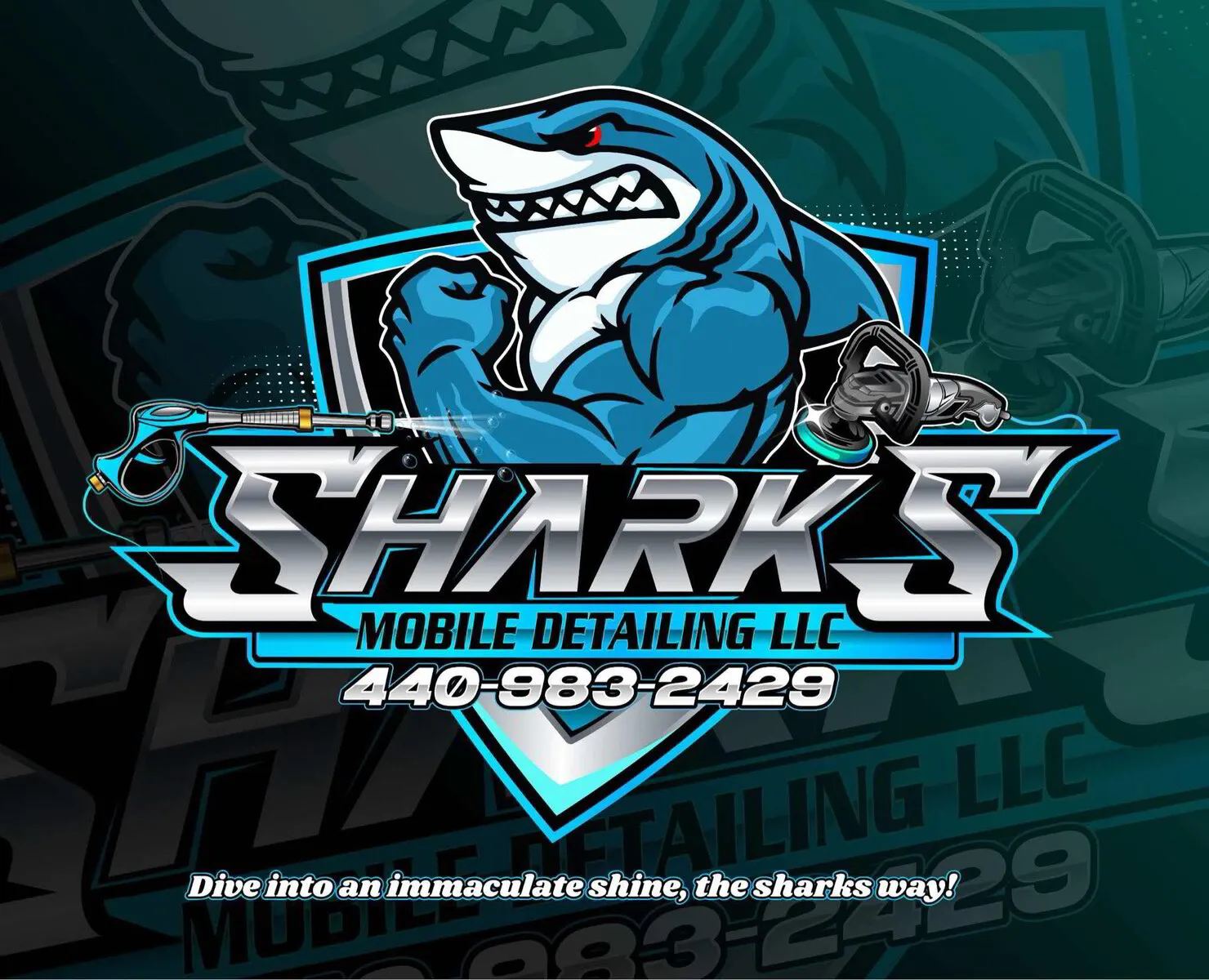 sharks mobile detailing in Mentor, OH