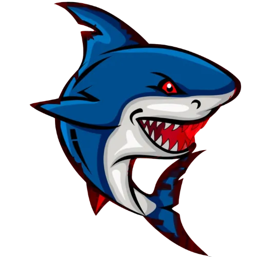 sharks mobile detailing in Mentor, OH (2)