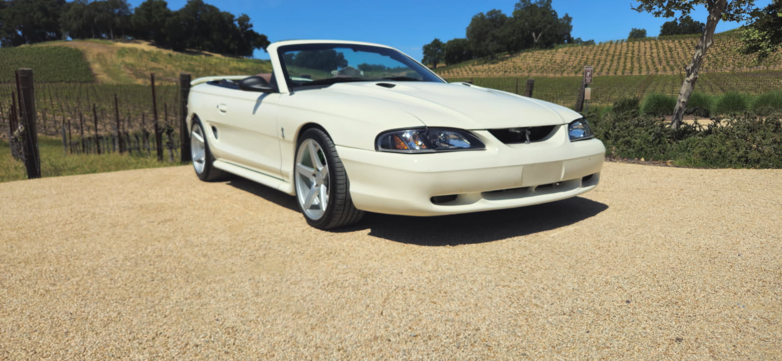 Cobra's Mobile Detailing in Paso Robles, CA (5)