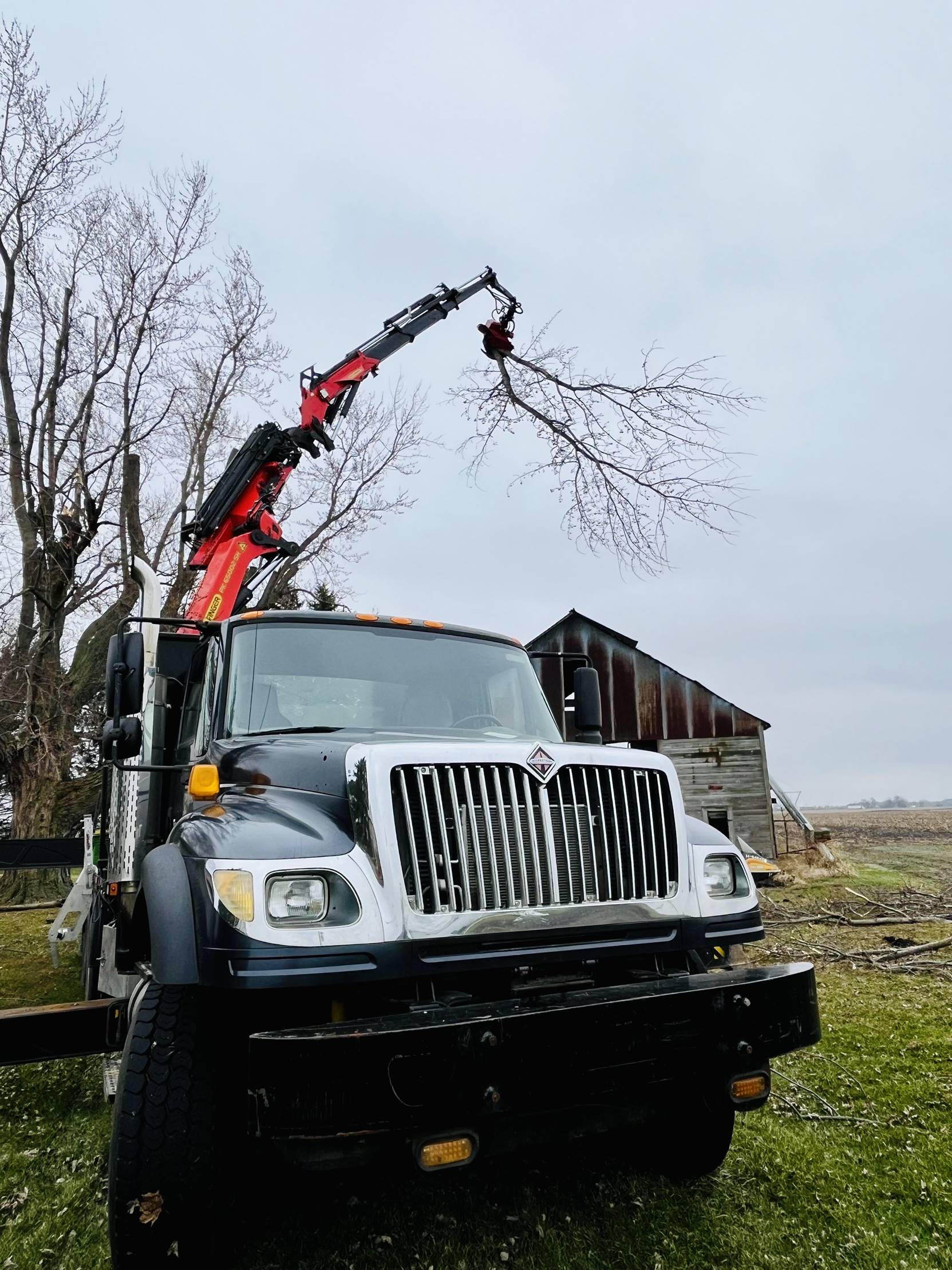 Aaron's Perfect Cut Tree Service in Kingsford Heights, IN (3)