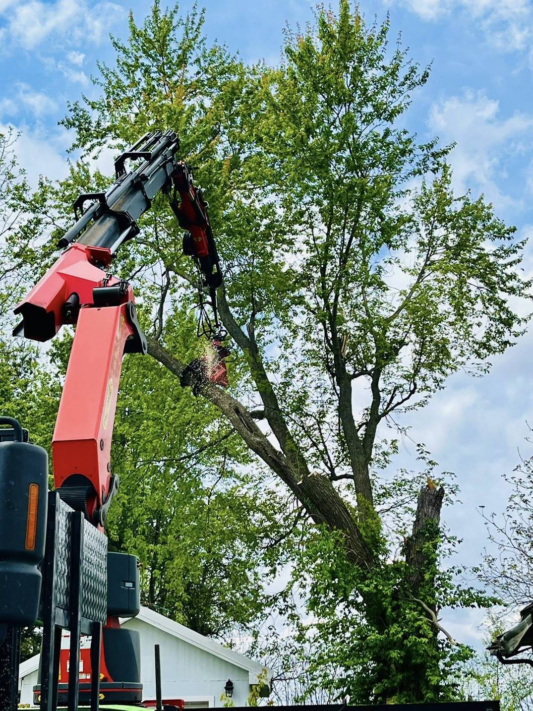 Aaron's Perfect Cut Tree Service in Kingsford Heights, IN (4)