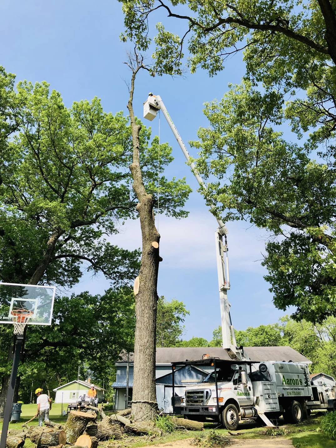 Aaron's Perfect Cut Tree Service in Kingsford Heights, IN (5)