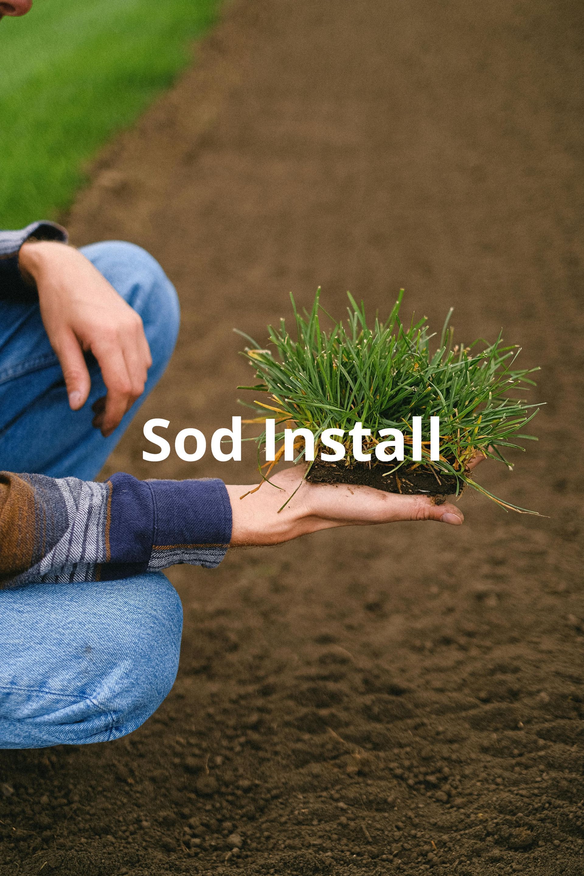 clean and clear lawn and landscaping in Duncanville, TX (2)