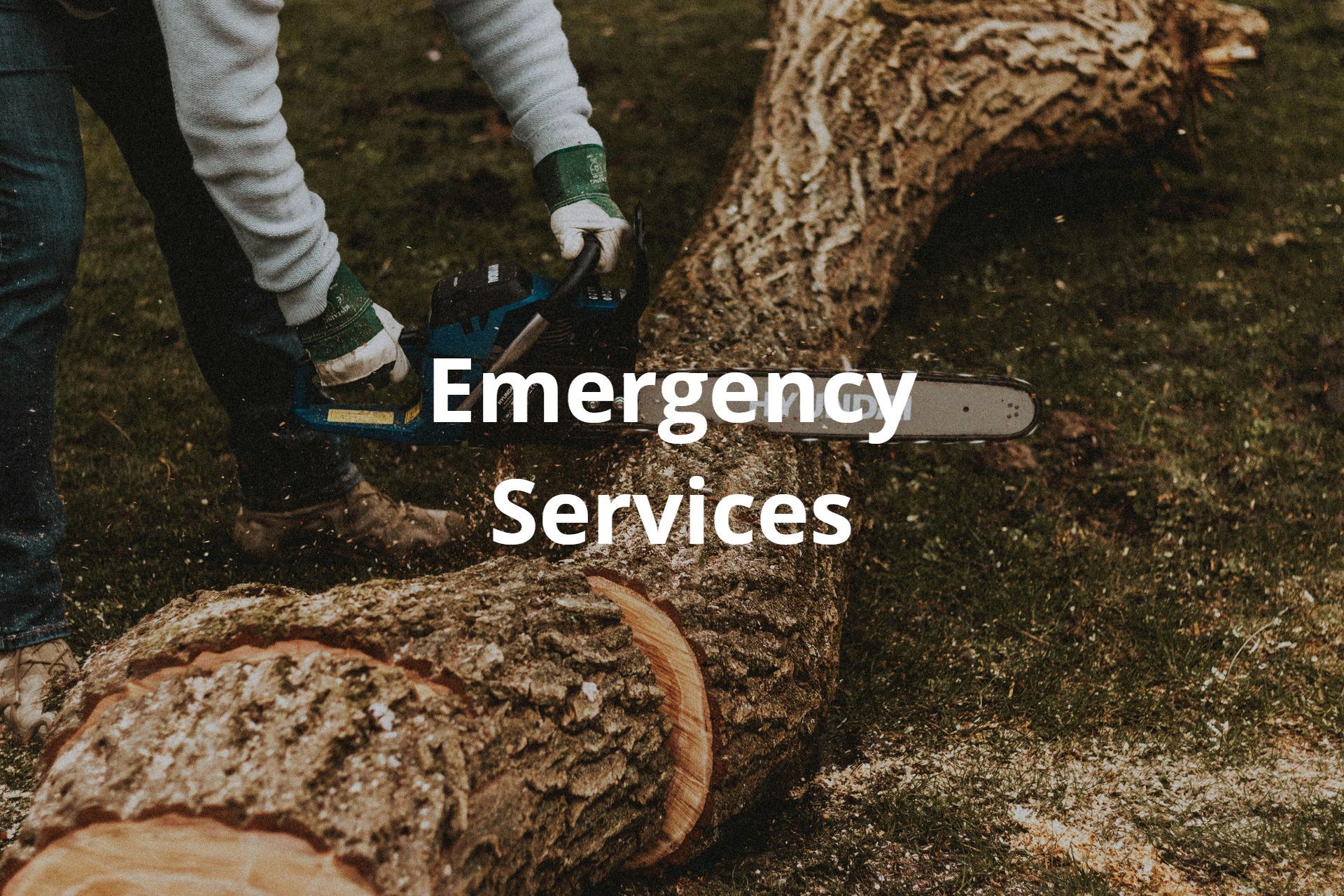 clean and clear lawn and landscaping in Duncanville, TX (5)