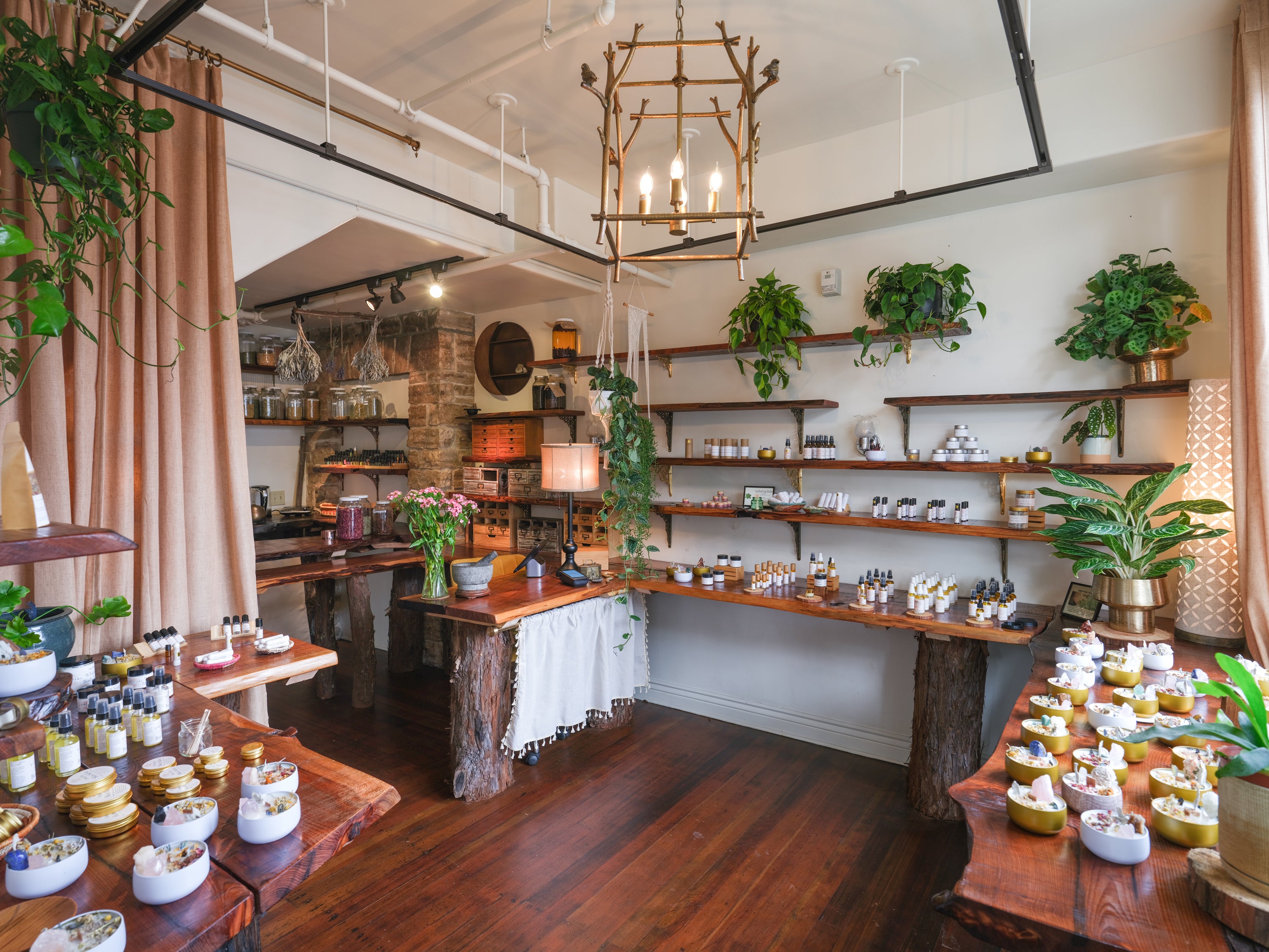 Earth Cura Apothecary in Carmel-By-The-Sea, CA (2)