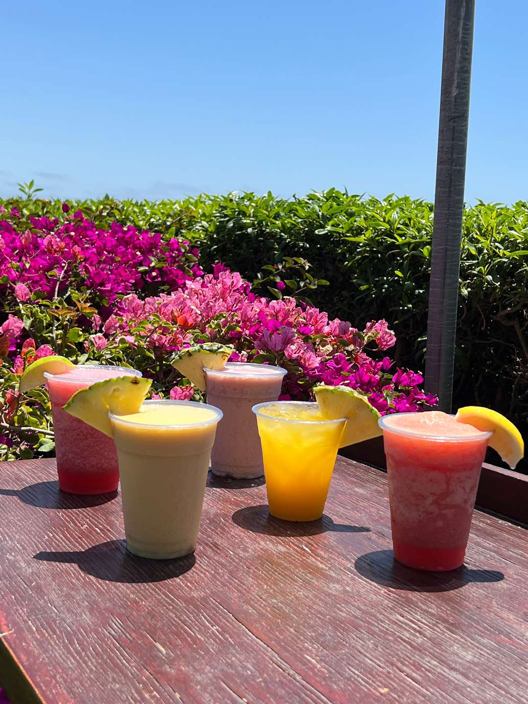 Padaro Beach Grill in Carpinteria, CA (2)