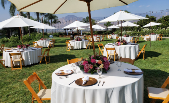 Elegante Catering in Dana Point, CA (6)