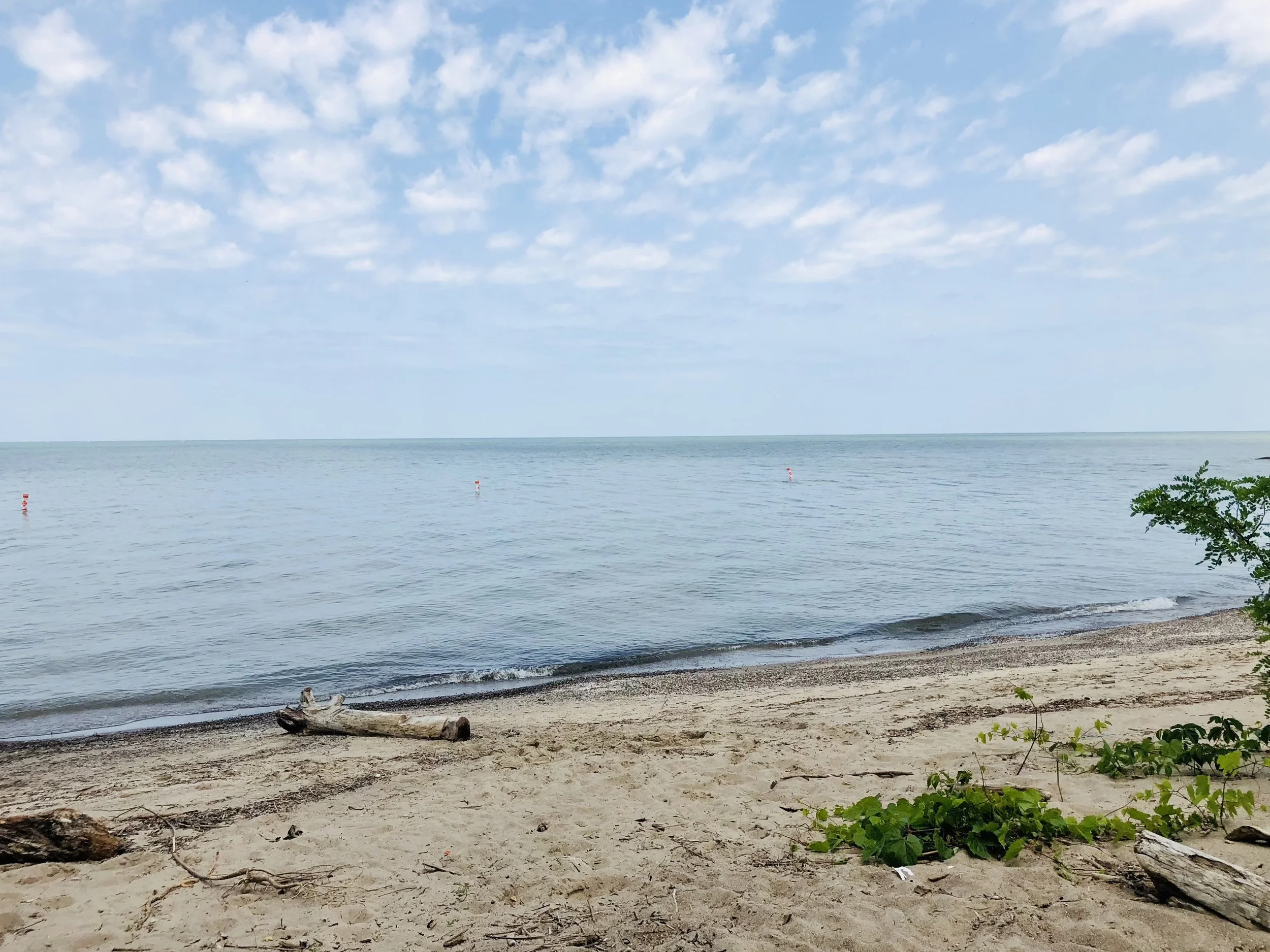 Gregg Wasilko Group — Howard Hanna Real Estate in Rocky River, OH
