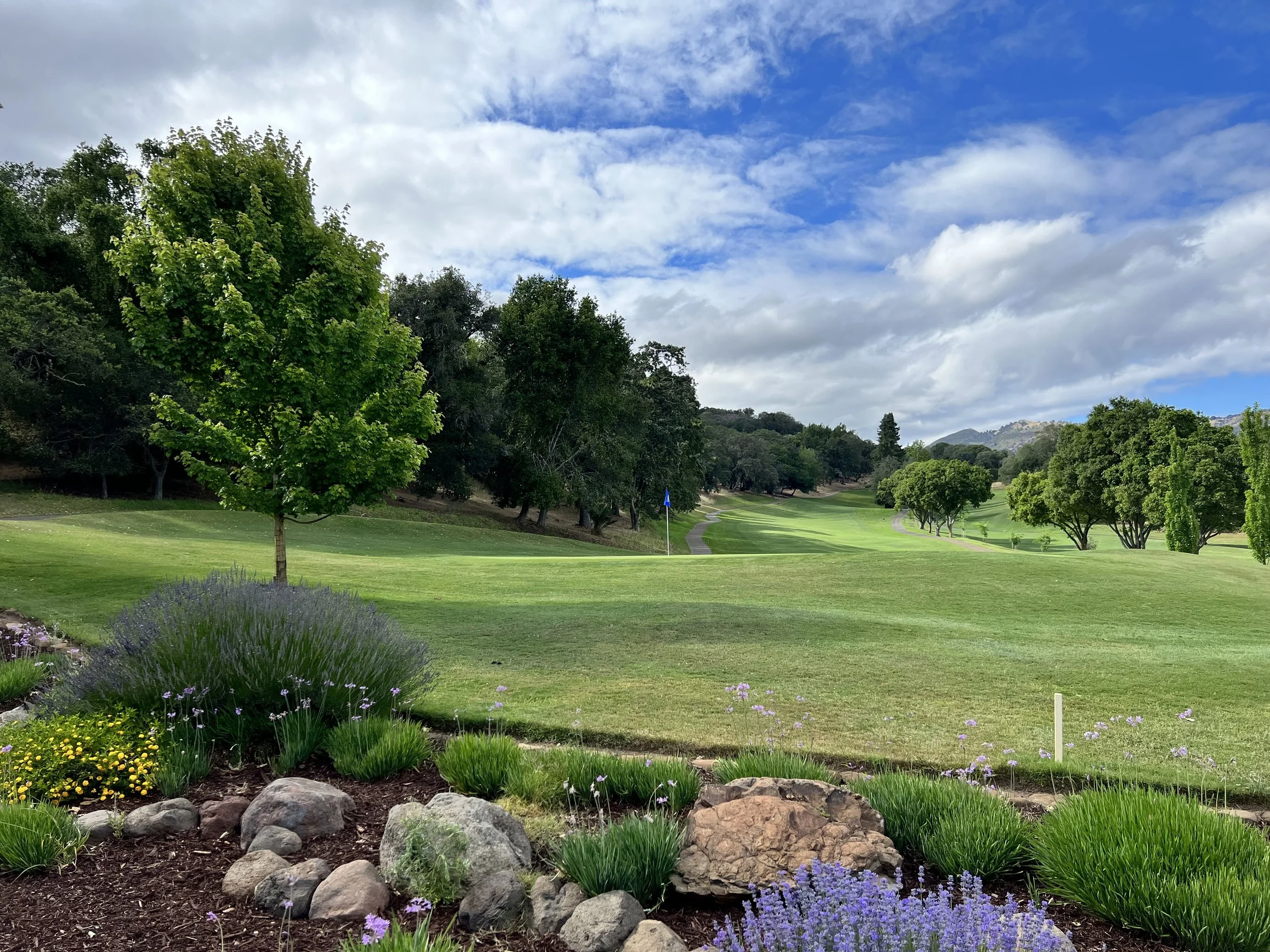 Michael Snider:Coldwell Banker Brokers Of The Valley in Napa, CA