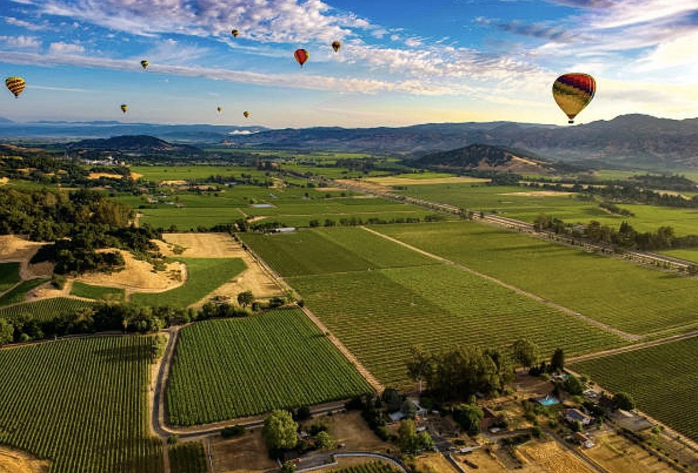 Michael Snider:Coldwell Banker Brokers Of The Valley in Napa, CA (4)