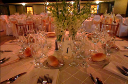 Stirna's Restaurant in Scranton, PA (3)