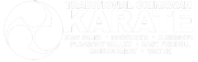 Traditional Okinawan Karate of Kinnelon in Kinnelon, NJ (2)