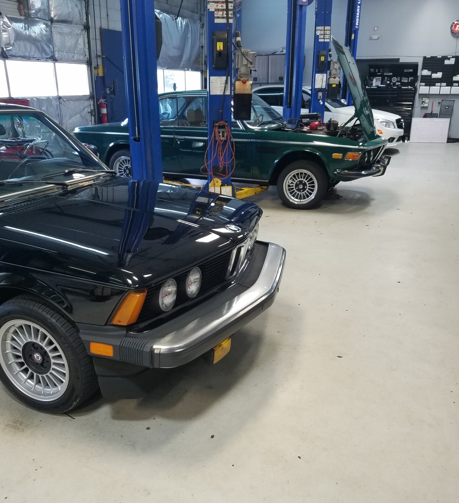 Exclusively European in Mt Pleasant, SC (6)