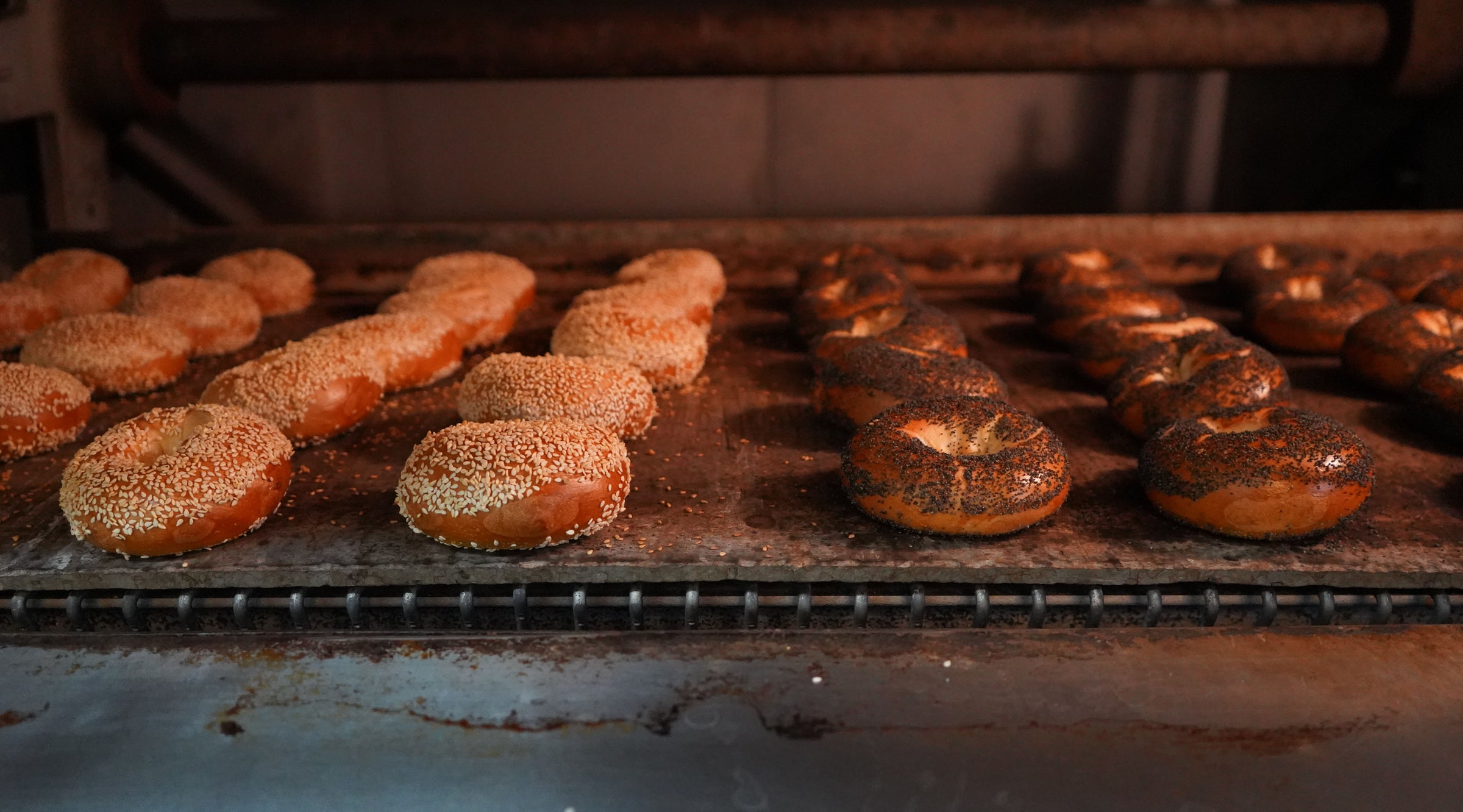 Saratoga Bagels in Saratoga, CA