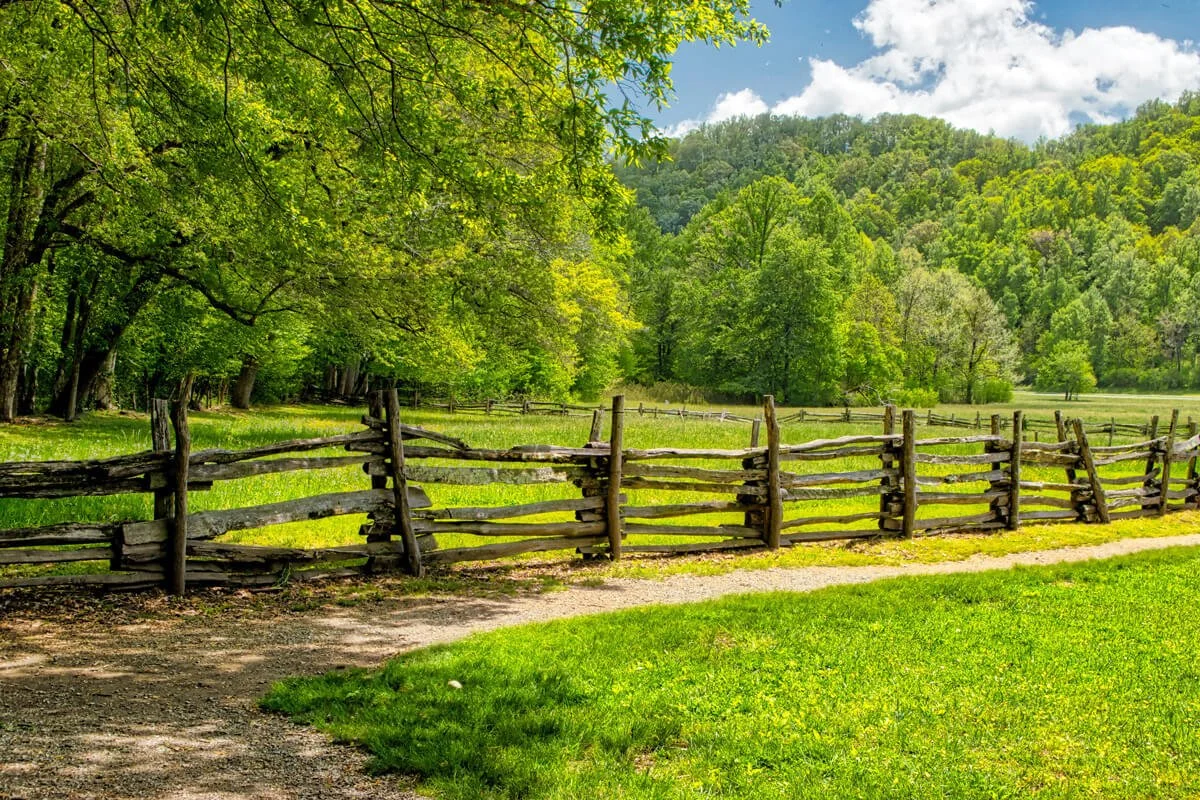 Liberty Sheds in Mocksville, NC (5)
