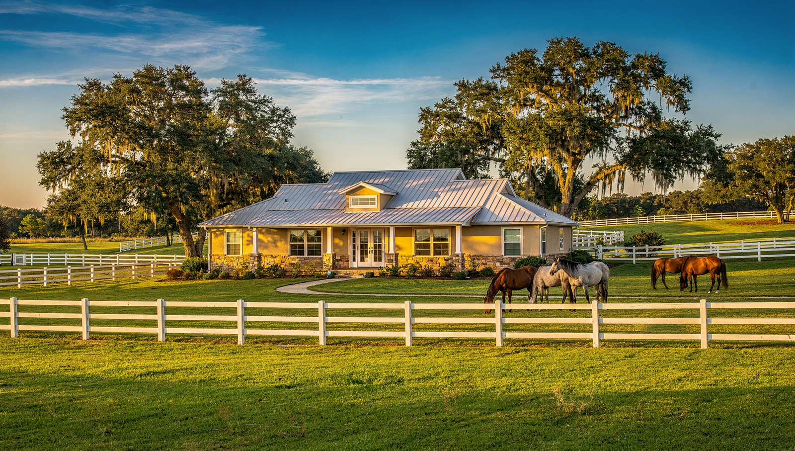 Justin Gothard Realtor in Floral City, FL (4)