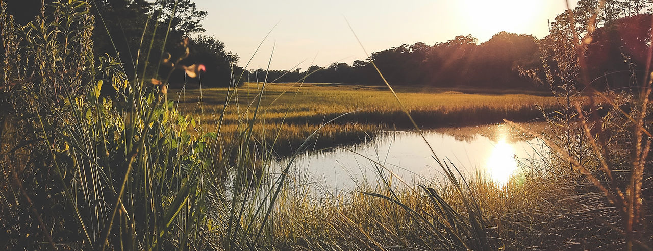 Shannon Jones Law Firm, LLC in Charleston, SC (3)