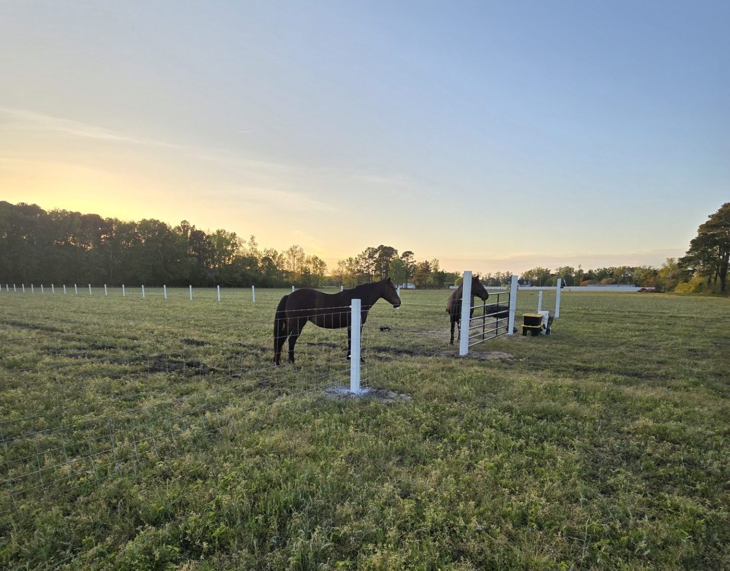 Tate Farm by the Pond, LLC in Willard, NC (4)