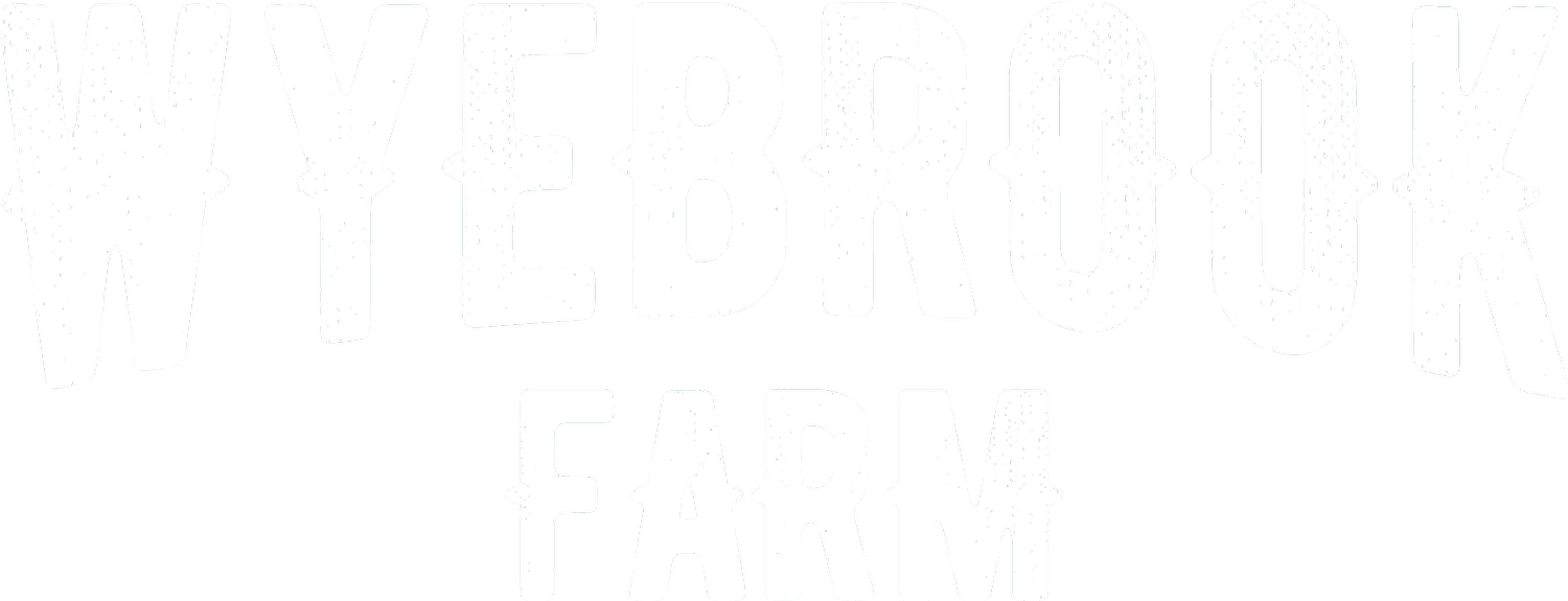 Wyebrook Farm (not open to the public) in Honey Brook, PA (3)