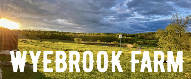 Wyebrook Farm (not open to the public) in Honey Brook, PA (5)