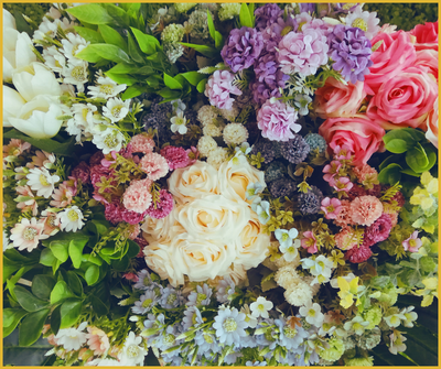 House of Blooms in Sugar Land, TX (6)