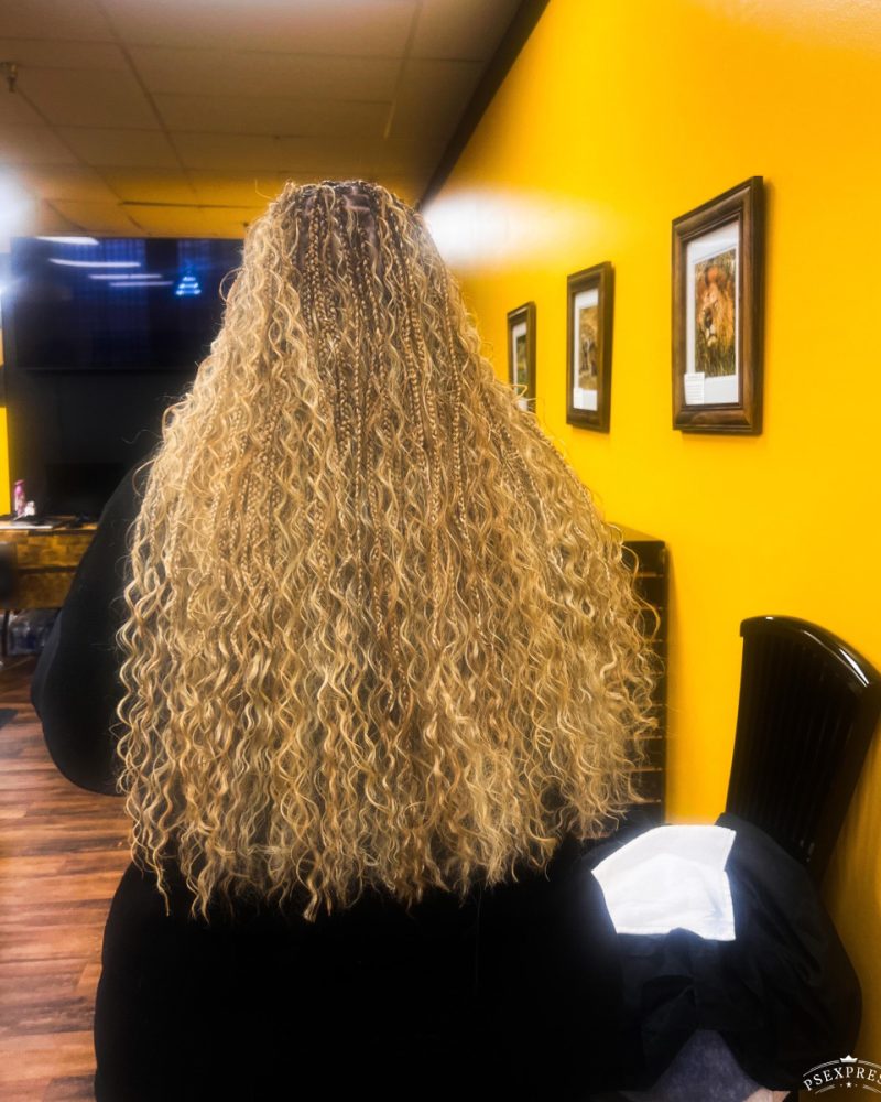 Afro Chic Braids in Indianapolis, IN (6)