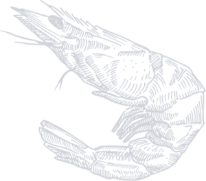 Grumbles Seafood Co. in Port Aransas, TX (6)