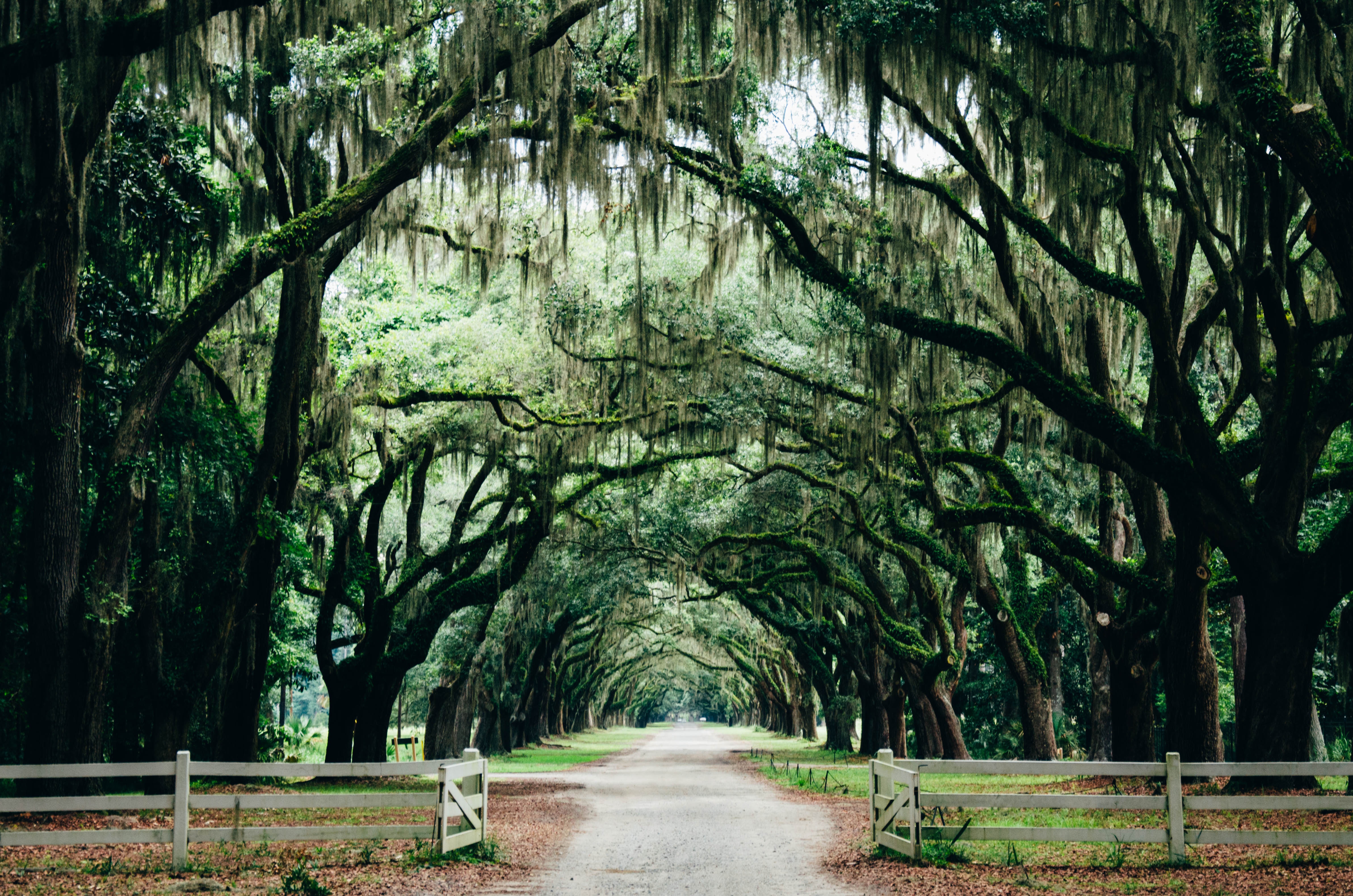 Sika Smith, REALTOR® - Realty ONE Group Inclusion in Savannah, GA