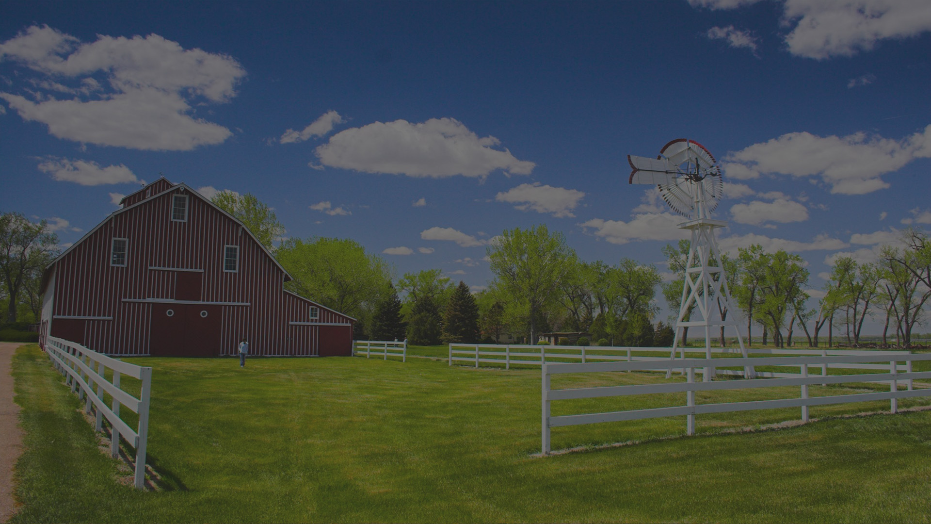 Brazos Land Company in Anderson, TX (4)
