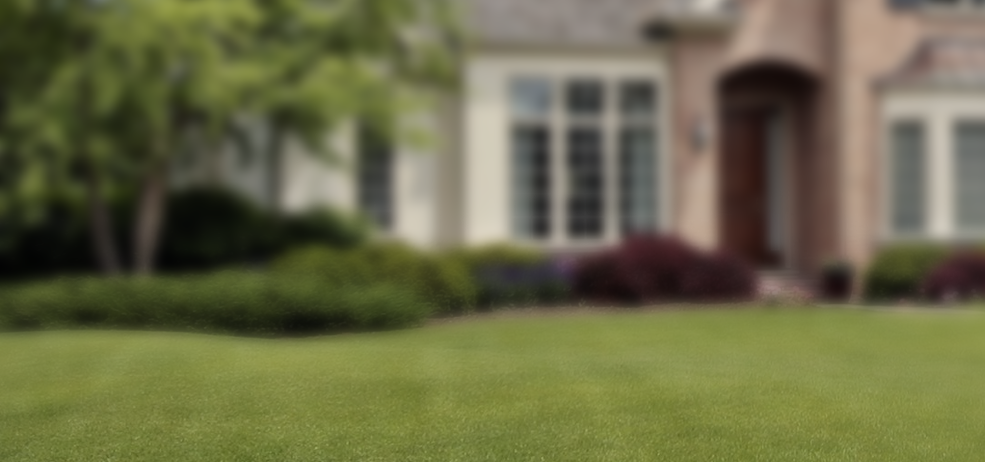 Jill Wente, Realtor - Discover Spring Texas in Spring, TX (2)