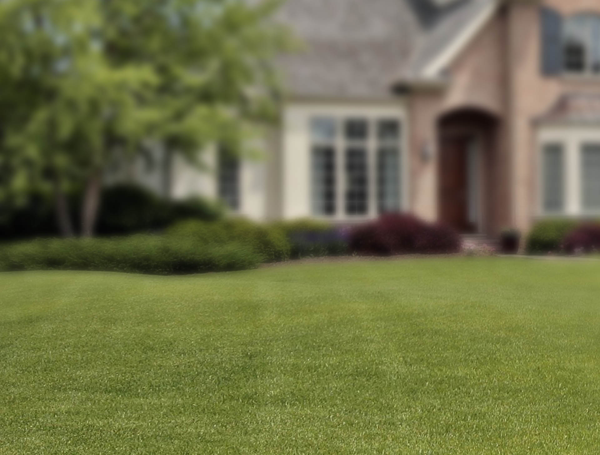 Jill Wente, Realtor - Discover Spring Texas in Spring, TX (5)