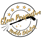 Clean Perspective Mobile Detailing in Cedar Knolls, NJ (2)