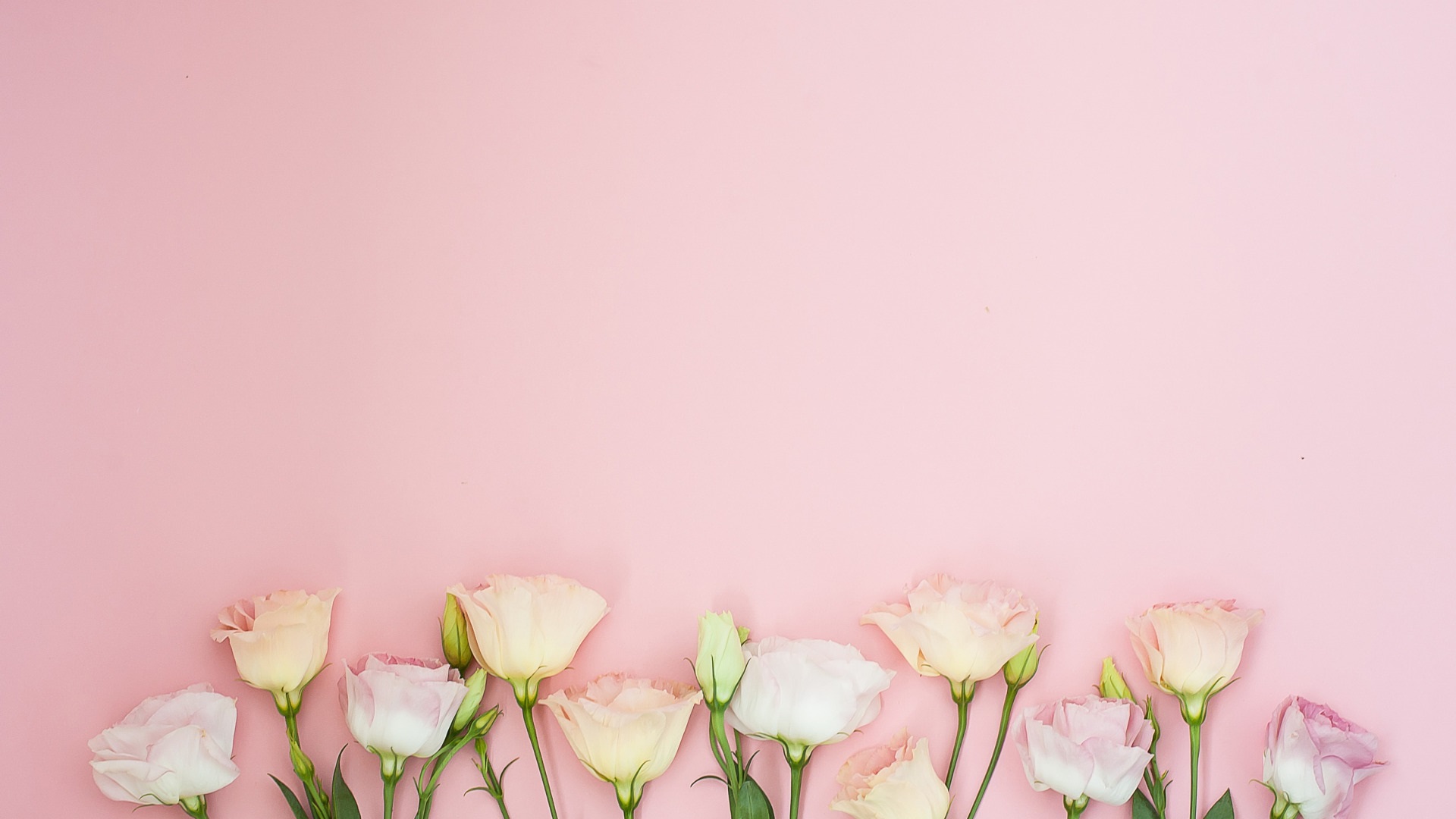 BayB Nail Spa in Peachtree Corners, GA (2)
