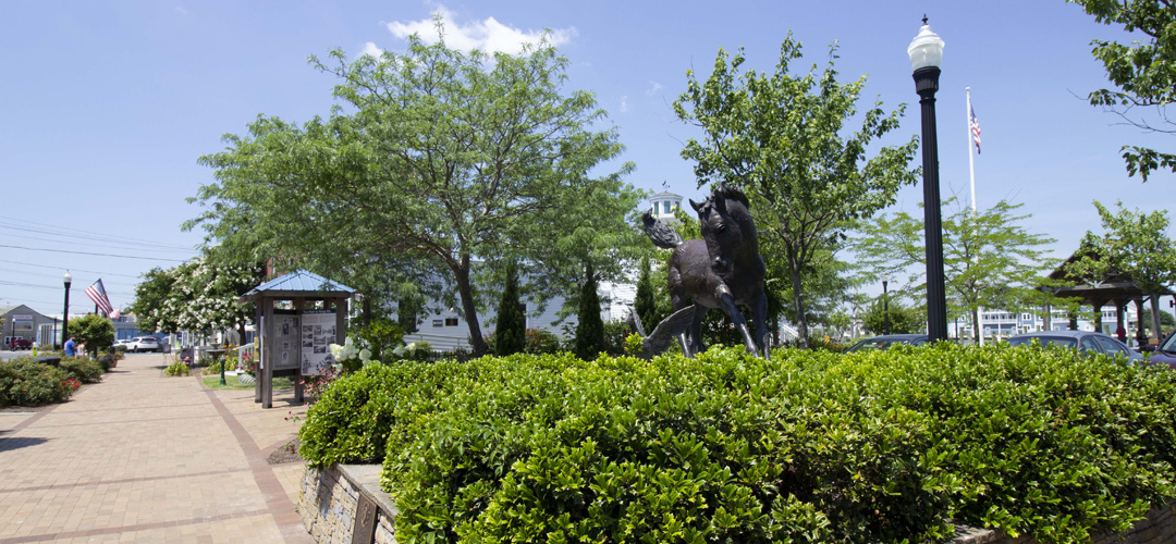 Discover Chincoteague in Chincoteague, VA