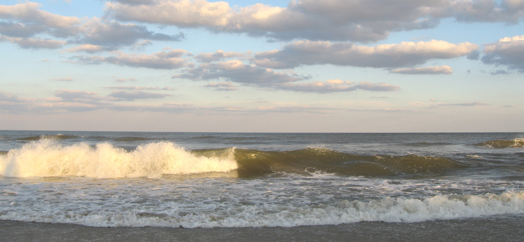 Discover Chincoteague in Chincoteague, VA (6)