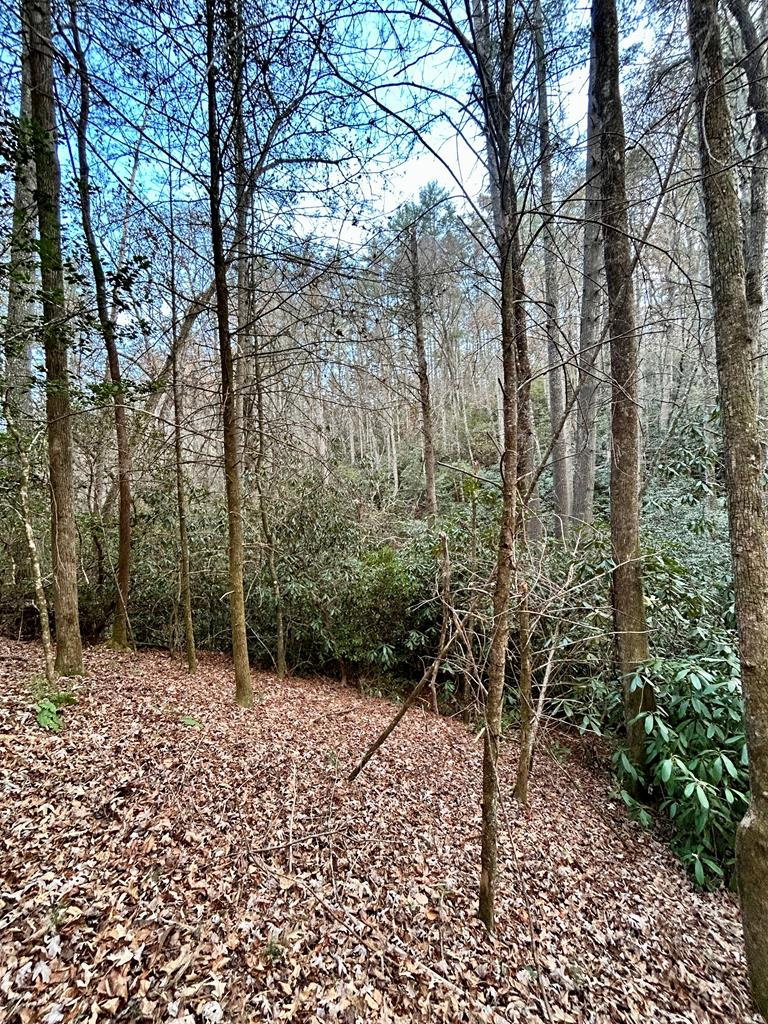 Carolina Mountain Homes in Murphy, NC (4)