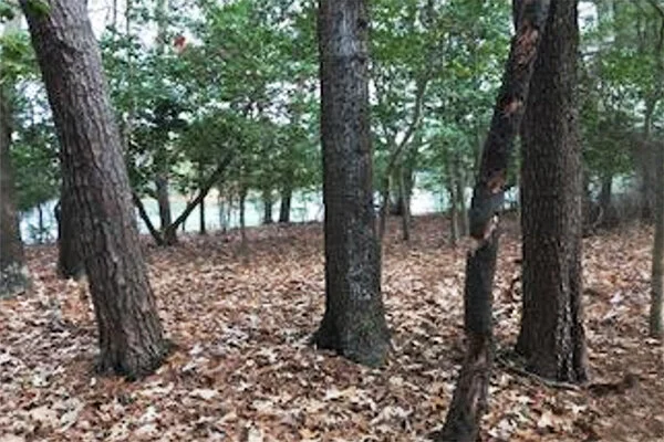 Ralph W. Dodd & Associates, LLC in Eastville, VA (3)