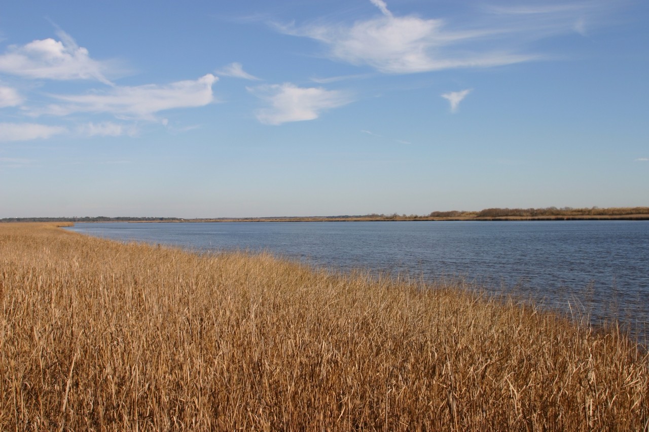 Grimes and Associates, Inc. in Georgetown, SC (6)