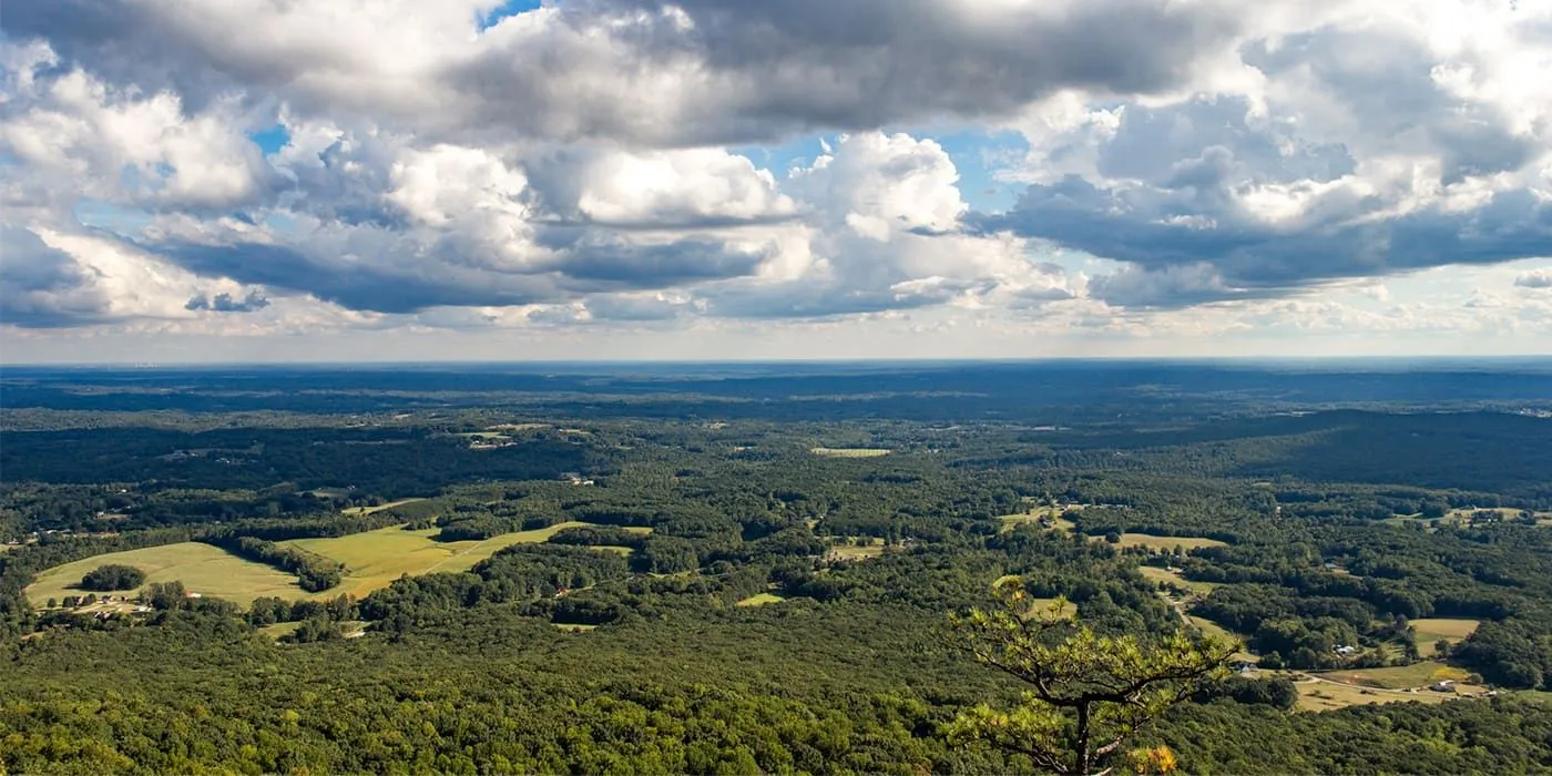 Martin & Van Hoy LLP: Raisbeck Jr Robert H in Mocksville, NC